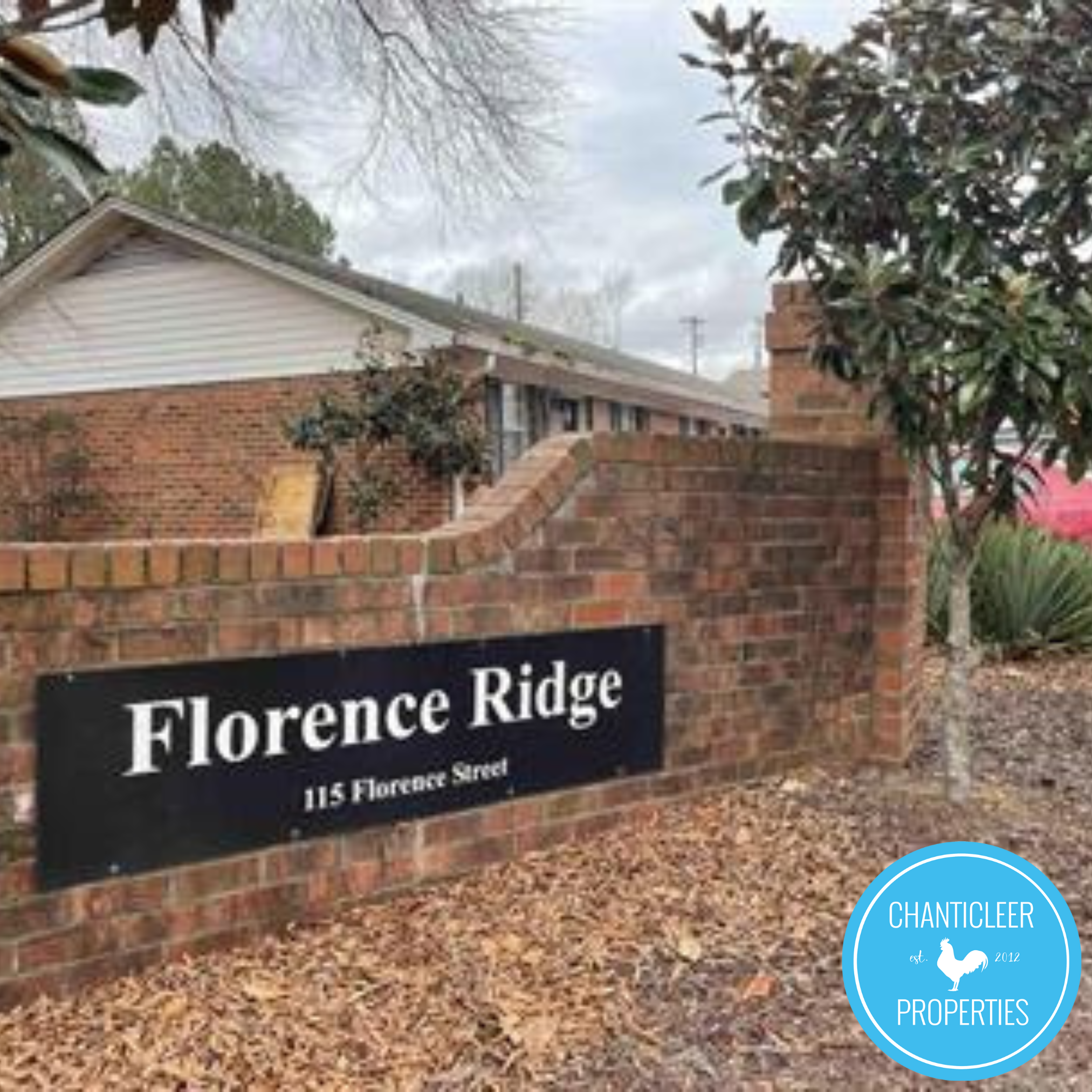 115 Florence Street Apt 17